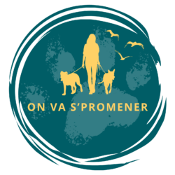 Éducation Canine & Promenade de Chien à Saint Brieuc, Lamballe – On va s'promener