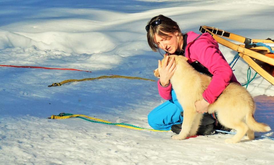 éducation canine et comportementaliste Lamballe, Saint brieuc, Pléneuf-Val-André